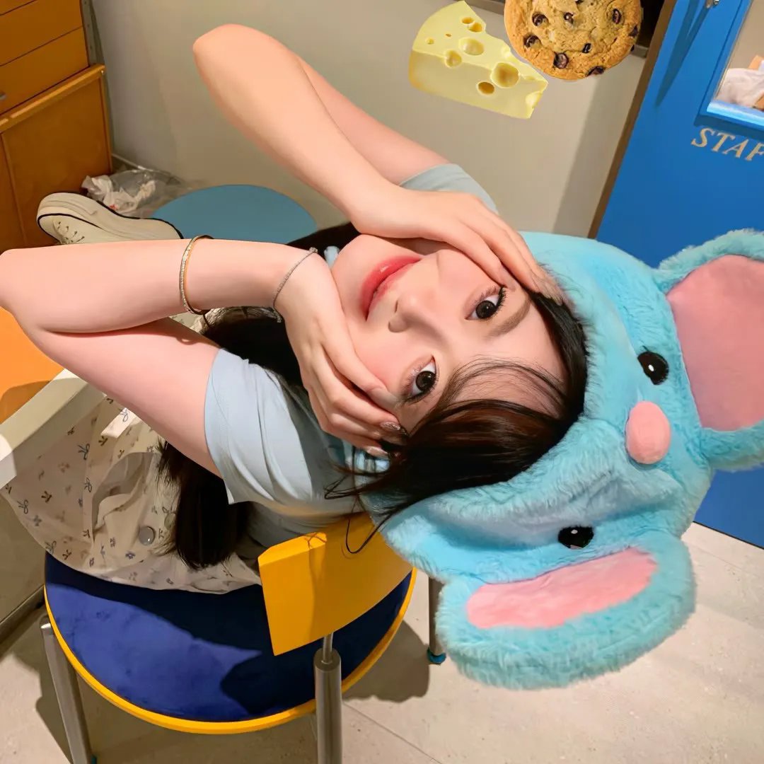 野良与皇女与流浪猫之心